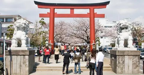 ⛩️ 아사쿠라 신사 이미지 4